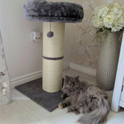 All Pond Solutions All Pet Solutions Large Jumbo Cat Scratching Post With Play Ball 74Cm - thumbnail 3