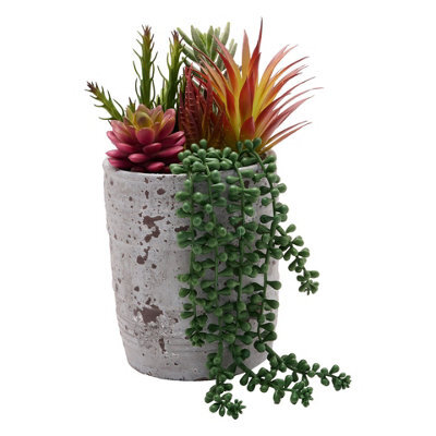 COUNTRY LIVING Artificial Succulent Plant Trailing In A White Pot