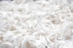 Lancashire Textiles Luxury Goose Feather & Down 4.5 Tog King Duvet Hypoallergenic  For Comfortable And Sound Sleep - thumbnail 5