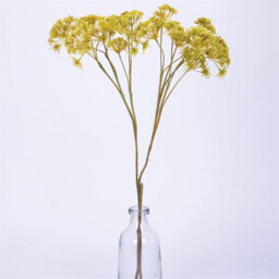 Bloom Artificial Single Dill Spray Stem - Faux Fake Silk Flower Indoor Home Decoration Floral Arrangements - Measures L42Cm