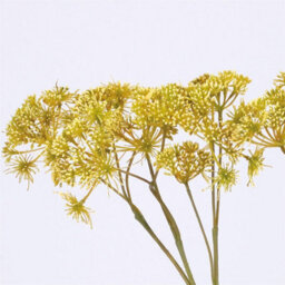 Bloom Artificial Single Dill Spray Stem - Faux Fake Silk Flower Indoor Home Decoration Floral Arrangements - Measures L42Cm - thumbnail 2
