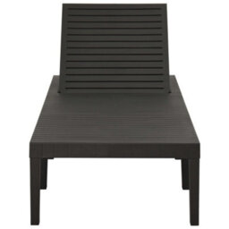 Vidaxl Sun Lounger Plastic Anthracite - thumbnail 3