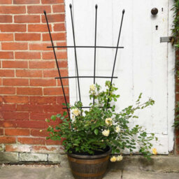 Garden Gear 1.2 Metre Fan Pot Trellis, Plastic Coated Steel Outdoor Decorative Plant Support, Weather Resistant (1) - thumbnail 1