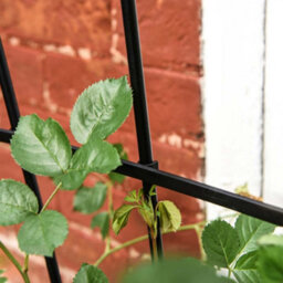 Garden Gear 1.2 Metre Fan Pot Trellis, Plastic Coated Steel Outdoor Decorative Plant Support, Weather Resistant (1) - thumbnail 2