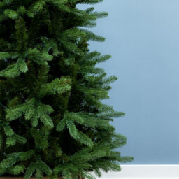 Christmas Tree World The 7Ft/210Cm Outdoor Ultra Slim Mixed Pine - thumbnail 3