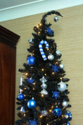 Christmas Tree World The 6Ft/180Cm Black Italian Pencilimo Christmas Tree - thumbnail 8