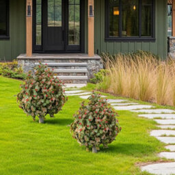 2 Pack  Artificial Topiary Trees Bushes Resistant Metal Ground Spike - thumbnail 3