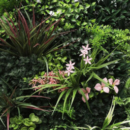 True Products Premium Artificial Green Plant Living Wall Panel 1M X 50Cm - Florence A - thumbnail 3