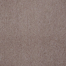 Carpet Shop Online Trent Twist Beige Carpet Felt Back 2.5M X 4M - thumbnail 2
