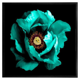 "Andrew Lee Cyan Peony Flower (Picutre Frame) / 12X12"" / Oak" - thumbnail 3