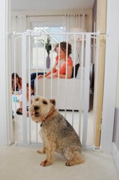 Bettacare Child And Pet Gate, 133.2Cm - 140.8Cm, White, Extra Tall Gate 104Cm In Height, Pressure Fit Stair Gate - thumbnail 9