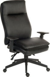 Teknik Plush Ergo Executive Chair With Contoured Seat And Back - thumbnail 1