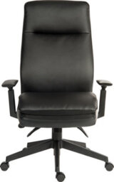 Teknik Plush Ergo Executive Chair With Contoured Seat And Back - thumbnail 2