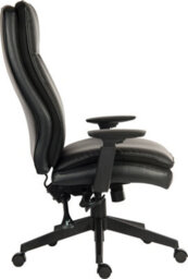 Teknik Plush Ergo Executive Chair With Contoured Seat And Back - thumbnail 3