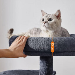 Feandrea Cat Tree, Small Cat Tower, Kitten Scratching Post, Smoky Grey - thumbnail 5