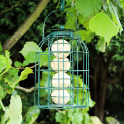 Storm Trading Group Metal Hanging Fat Ball Feeder With Bird Cage With Squirrel Guard - thumbnail 4