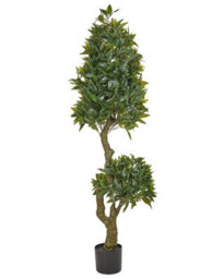 Wyld And Coco Laurel Living 160Cm Lifelike Artificial Potted Plant - Green Leaves With Black Pot - thumbnail 1
