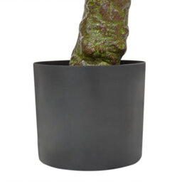 Wyld And Coco Laurel Living 160Cm Lifelike Artificial Potted Plant - Green Leaves With Black Pot - thumbnail 5