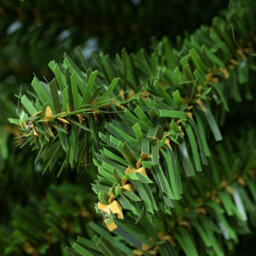 Christmas Tree World The 5Ft/150Cm Green Italian Pencilimo Christmas Tree - thumbnail 7