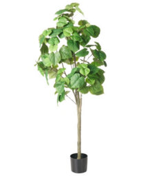 Wyld And Coco 160Cm Artificial Potted Plant - Realistic Green Foliage With Natural-Looking Trunk For Home And Office Decor - thumbnail 1
