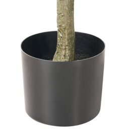 Wyld And Coco 160Cm Artificial Potted Plant - Realistic Green Foliage With Natural-Looking Trunk For Home And Office Decor - thumbnail 3
