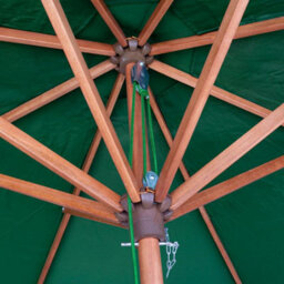 Charles Taylor Trading Green Parasol - thumbnail 3