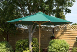 Charles Taylor Trading Green Parasol - thumbnail 1