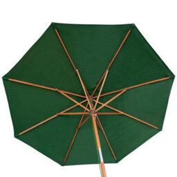 Charles Taylor Trading Green Parasol - thumbnail 2