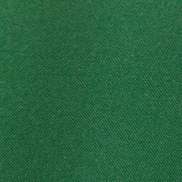 Charles Taylor Trading Green Parasol - thumbnail 5