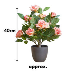 Smart Garden Marco Paul Artificial Potted Rose Plant - Pink - thumbnail 2