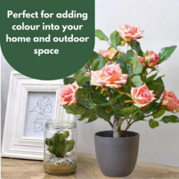 Smart Garden Marco Paul Artificial Potted Rose Plant - Pink - thumbnail 7