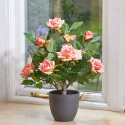 Smart Garden Marco Paul Artificial Potted Rose Plant - Pink