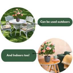 Smart Garden Marco Paul Artificial Potted Rose Plant - Pink - thumbnail 6