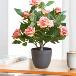 Smart Garden Marco Paul Artificial Potted Rose Plant - Pink - thumbnail 8