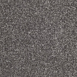 Tranquillity Platinum Bleach Cleanable Carpet By Remland (Granite, 4M X 5M) - thumbnail 1