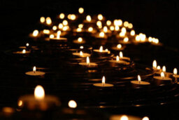 Zuvo Tea Light Candles 100 Pack 8 Hour Burn Unscented White 3.8Cm X 2.3Cm 23G Each - thumbnail 7