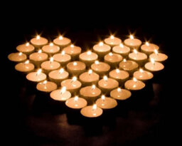 Zuvo Tea Light Candles 100 Pack 8 Hour Burn Unscented White 3.8Cm X 2.3Cm 23G Each - thumbnail 5