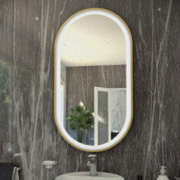RAK Ceramics Rak Art Oval 550X1000mm Brushed Gold Led Bathroom Mirror With Touch Sensor & Demister