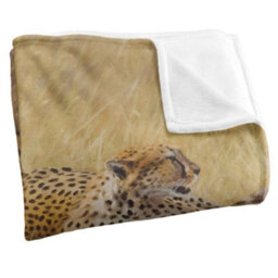 Wild Wings African Cats 2 Silky Supersoft Blanket Sand (One Size) - thumbnail 3