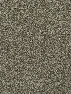 Devotion Gold Bleach Cleanable Carpet By Remland (Mushroom, 1M X 4M)