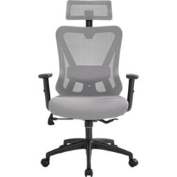 Yaheetech Ergonomic Desk Chair Multi-Adjustment Functions - Light Grey