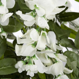 GreenBrokers Premium Artificial White Wisteria Tree, Lifelike Uv-Protected Potted Plant, Maintenance-Free, Indoor & Outdoor Decor (4Ft/130Cm) - thumbnail 3