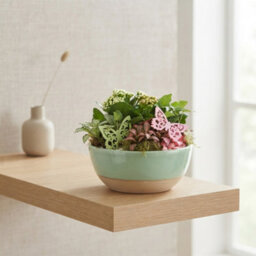 Goldie Decorative Arrangement - 20Cm Bowl - thumbnail 6