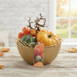 Goldie Decorative Arrangement - 20Cm Bowl - thumbnail 1