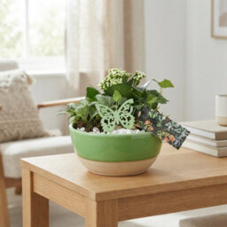 Goldie Decorative Arrangement - 20Cm Bowl - thumbnail 7