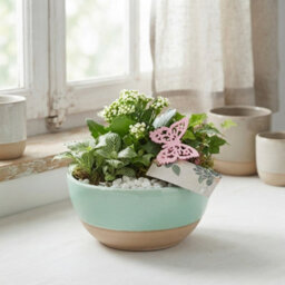 Goldie Decorative Arrangement - 20Cm Bowl - thumbnail 9