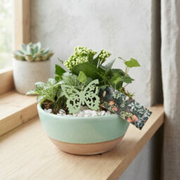 Goldie Decorative Arrangement - 20Cm Bowl - thumbnail 8