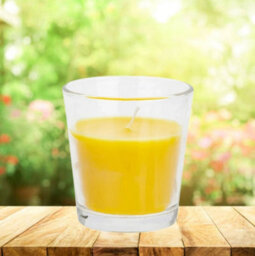 151 4 X Outdoor Garden Citronella Jar Candle - thumbnail 3