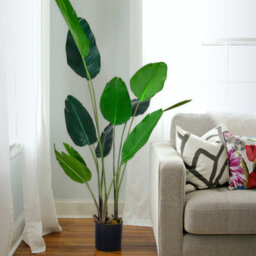 Living And Home Artificial Plant House Plant Indoor Plant Fake Banana Tree In Black Pot 180 Cm - thumbnail 2