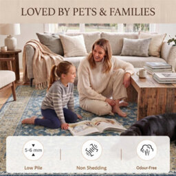 Vintage Foldable & Washable Rugs Non Slip Area Carpet Low Pile Soft Printed Floor Mat (160 X 200 Cm) - thumbnail 3